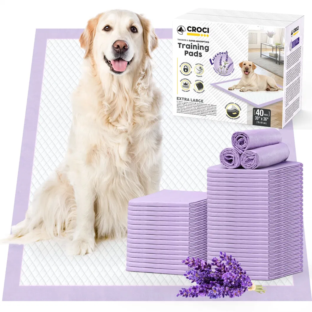 Puppy Training Products Disposable Pet Potty Pad Absorbent Dog and Cat Training Pet Pads